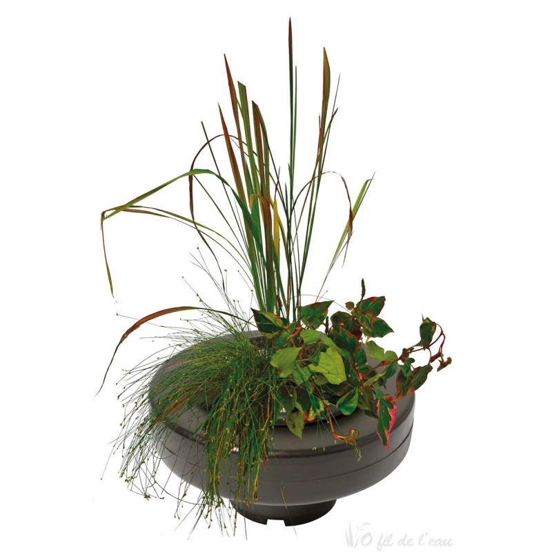 Panier flottant rond pour plante aquatique