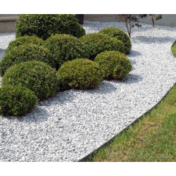 Ecolat rouleau 14 cm , Ecopic , vis