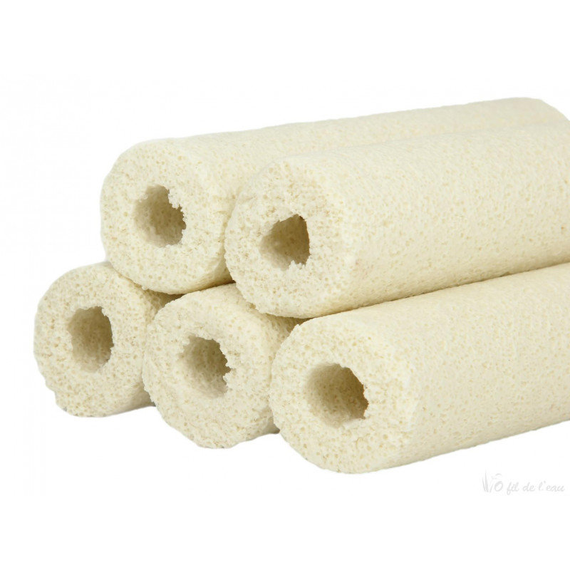 Biocera Home 32 Aquatic science