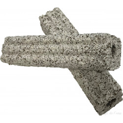 Bactéria House koipro