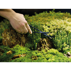 Ciseaux à plantes Oase