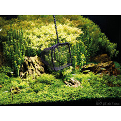 Epuisette à poisson 10 cm Oase