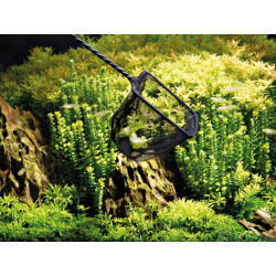 Epuisette à poisson 15 cm Oase