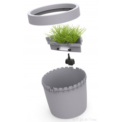 Superfish Pond Patio