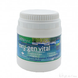 Oxy-gen Vital