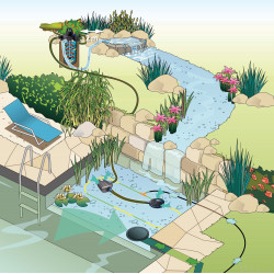 Pompe Aquamax eco premium 6000 / 12 V Oase