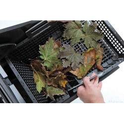 Biosys skimmer + Oase