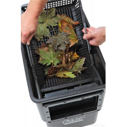 Biosys skimmer + Oase