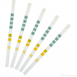 Test bassin quickstick Oase  6 en 1 Oase