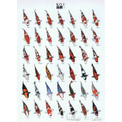 Poster koi  n°1 plastifié