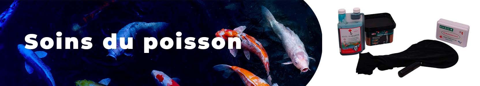 Soins des poissons de bassin et soin des carpes Koi | O fil de l'eau