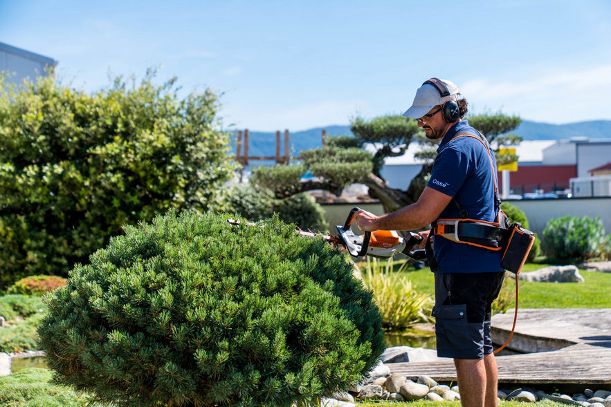 Entretien du jardin et espaces verts