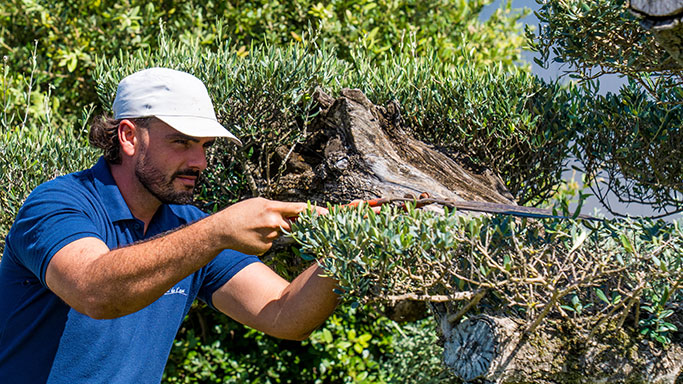 Entretien du jardin et espaces verts