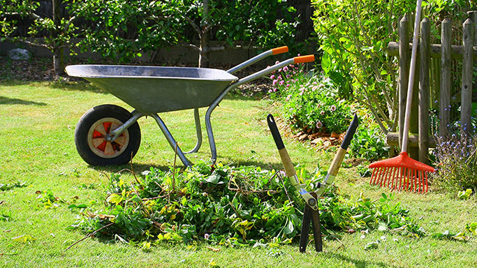 Entretien du jardin et espaces verts