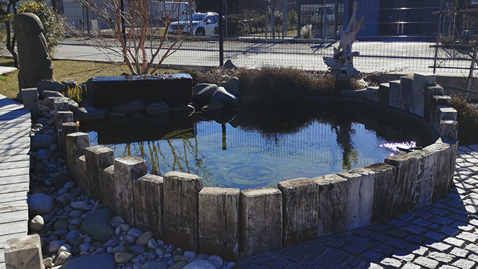 Vente matériel bassins poissons plantes aquatiques O Fil del'eau
