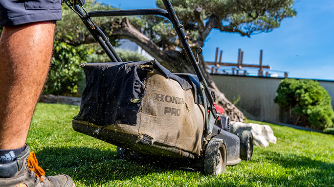 Entretien du jardin et espaces verts