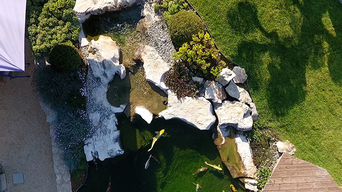 Vente matériel bassins poissons plantes aquatiques O Fil del'eau