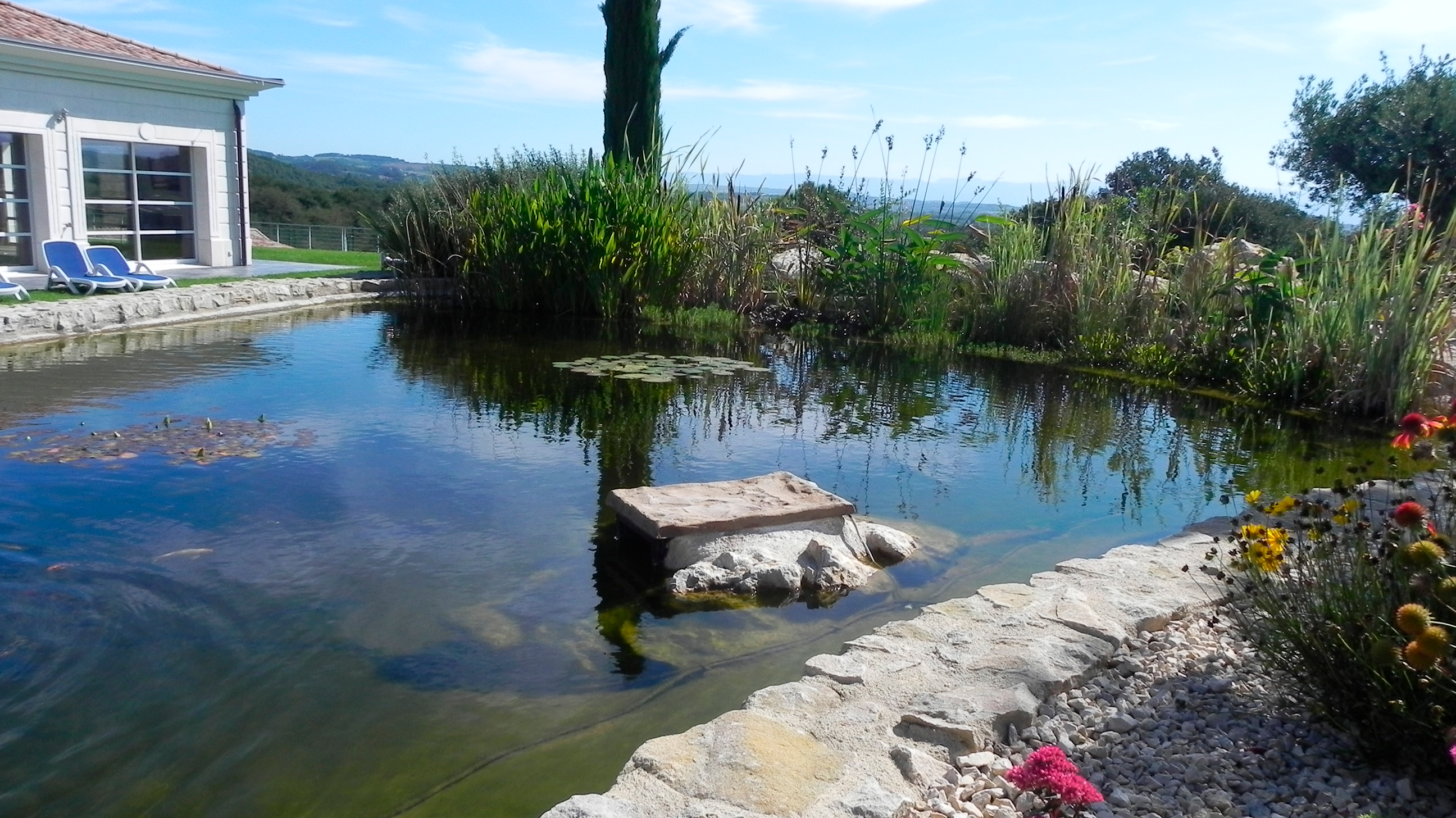 Prestations Creation Et Entretien De Bassin Vivier Fontaine Et Lac