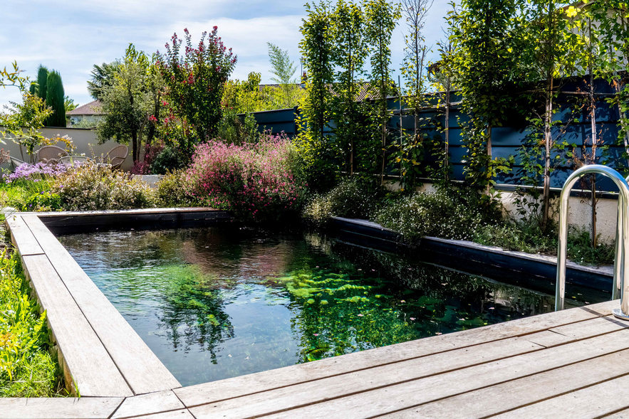 Créer une oasis naturelle chez soi : tout savoir sur la piscine biologique