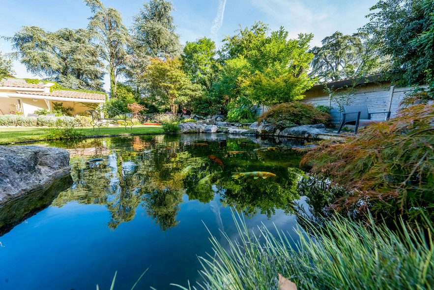 Réalisation de bassins et cascades en Auvergne Rhône Alpes avec O Fil de l'Eau