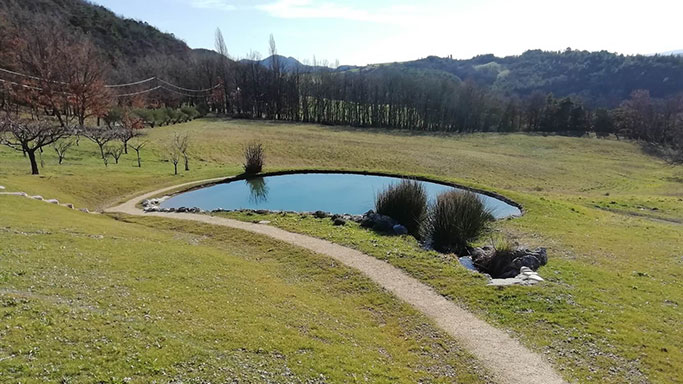 Réalisation bassins et cascades O Fil de l'eau