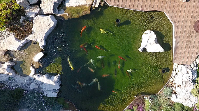 Réalisation bassins et cascades O Fil de l'eau