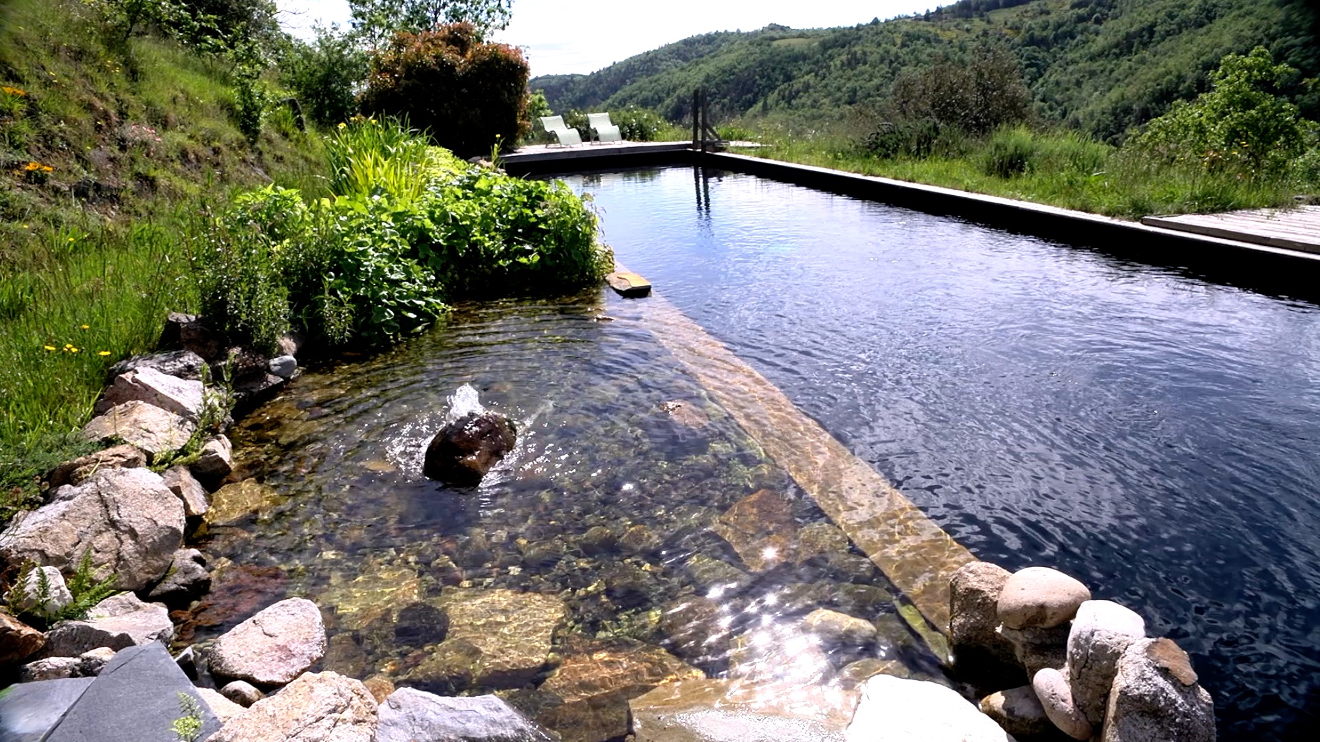 Piscine biologique 7