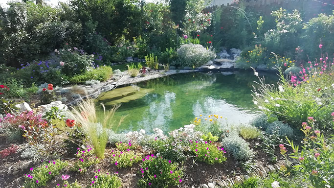 Réalisation piscine biologique O Fil de l'eau