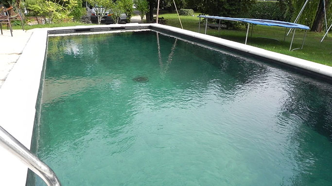 Réalisation piscine biologique O Fil de l'eau